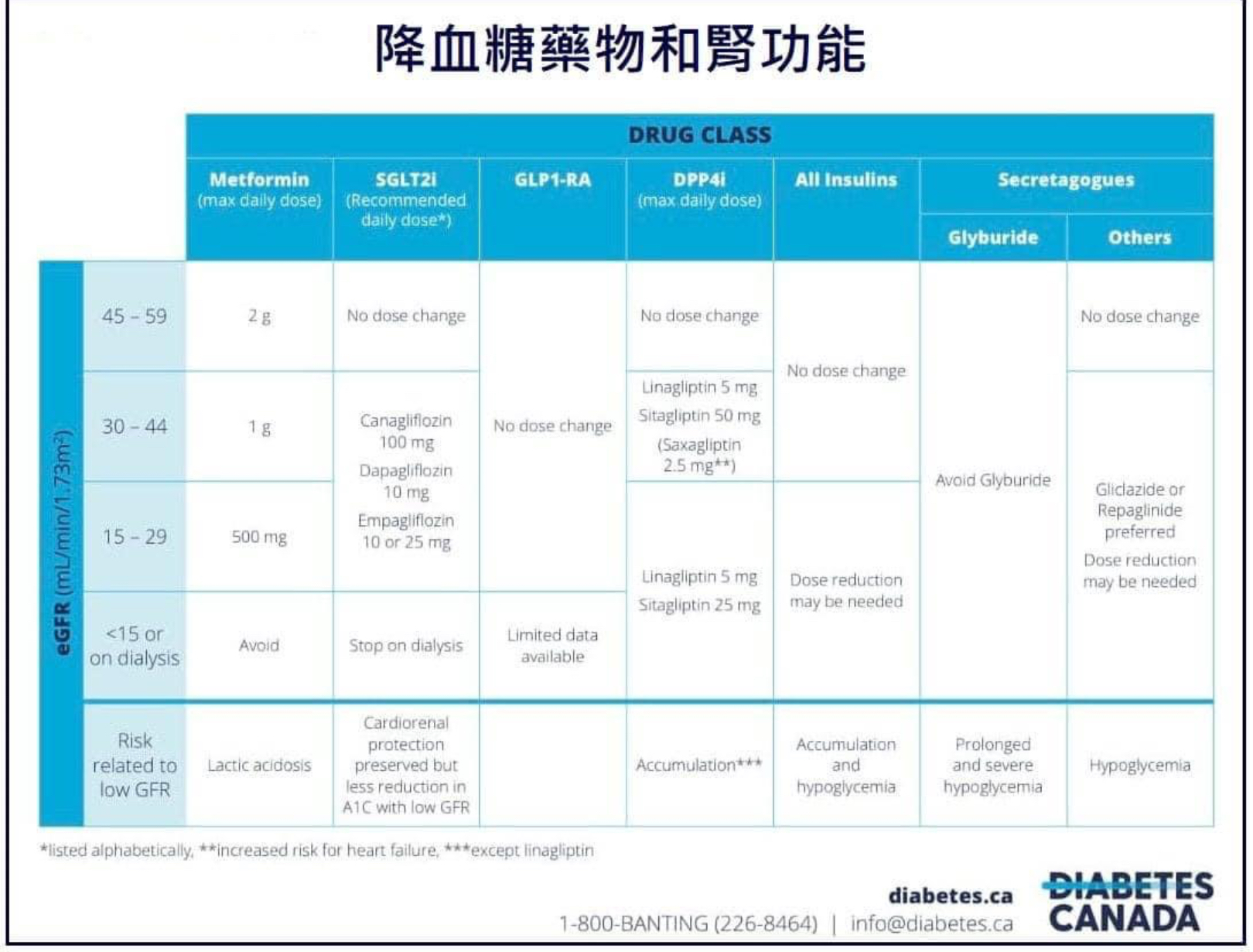 降血糖藥物和腎功能